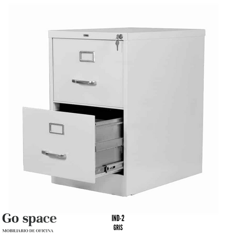 Archivero Institucional vertical de 2 gavetas Metálico