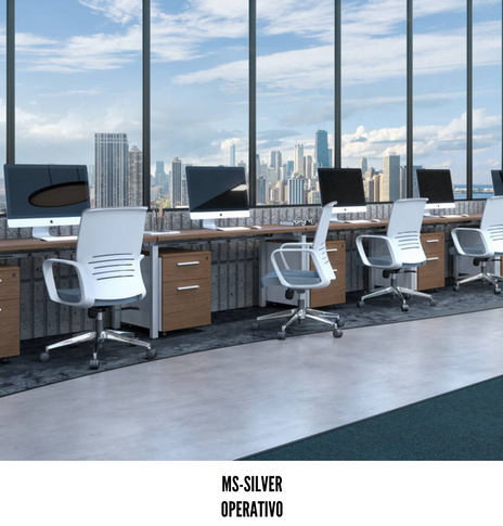 ESCRITORIO OPERATIVO MS