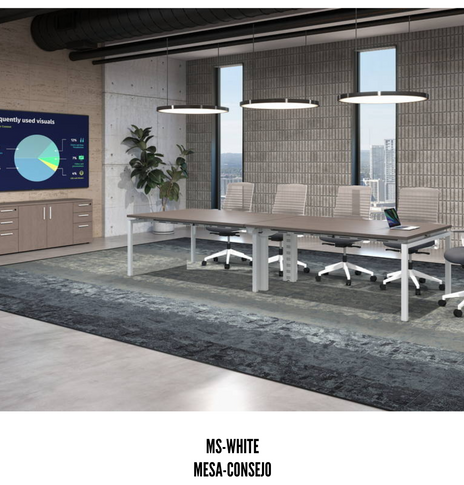 MESA CONSEJO MS